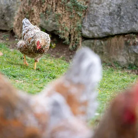 Hof Zur Linde * Кицбюэль