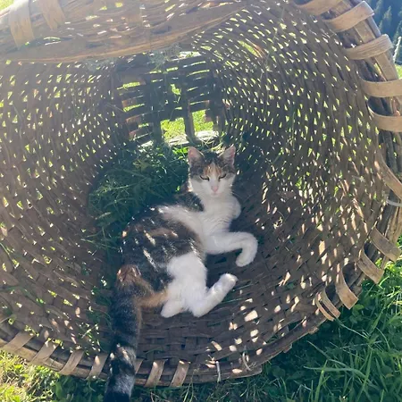 Hof Zur Linde * Kitzbühel