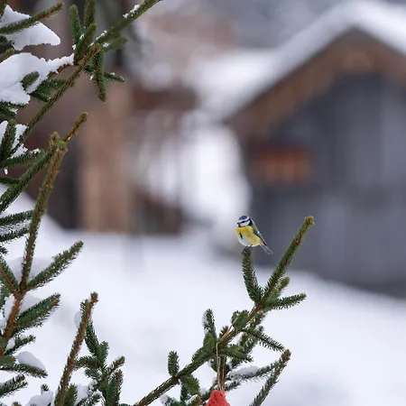 Hof Zur Linde Kitzbühel
