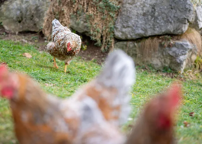 Hof Zur Linde * كيتزبوهيل