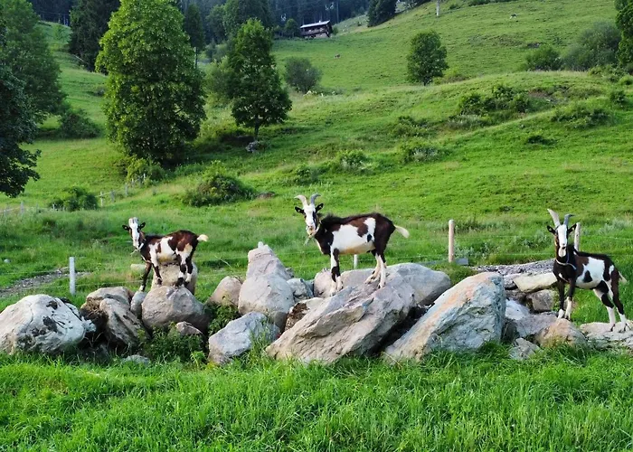 مزرعة للإقامة Hof Zur Linde