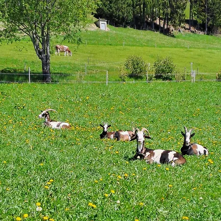 Hof Zur Linde *