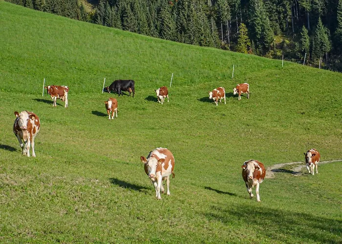 Hof Zur Linde בית חווה