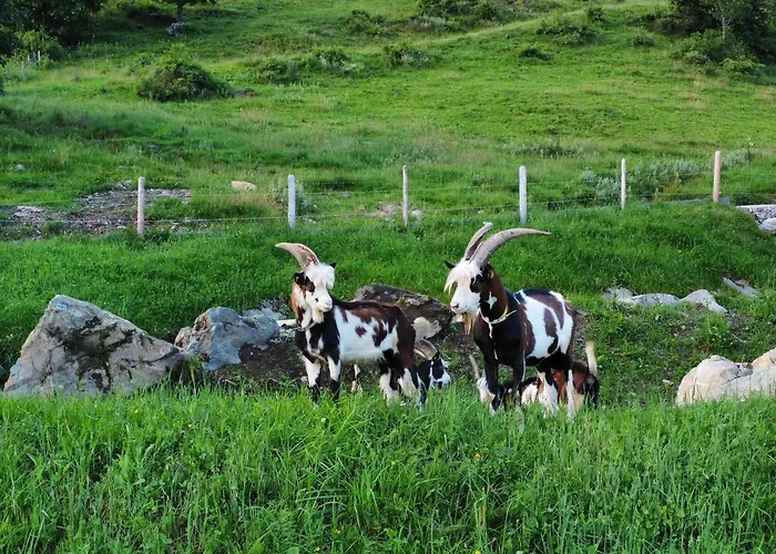 Hof Zur Linde * קיצביהל